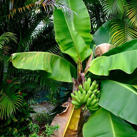 Nid Kreyol Villa Sainte-Anne  Luaran gambar